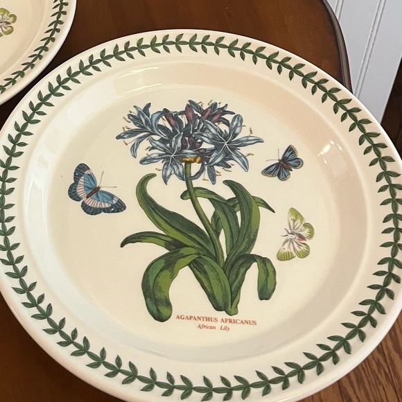 Botanic Garden
by PORTMEIRION Dinner Plate African‎ Lily - Picture 3 of 4